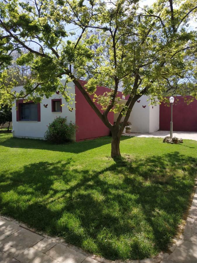 Amiad Joseph Well Country Inn Екстер'єр фото